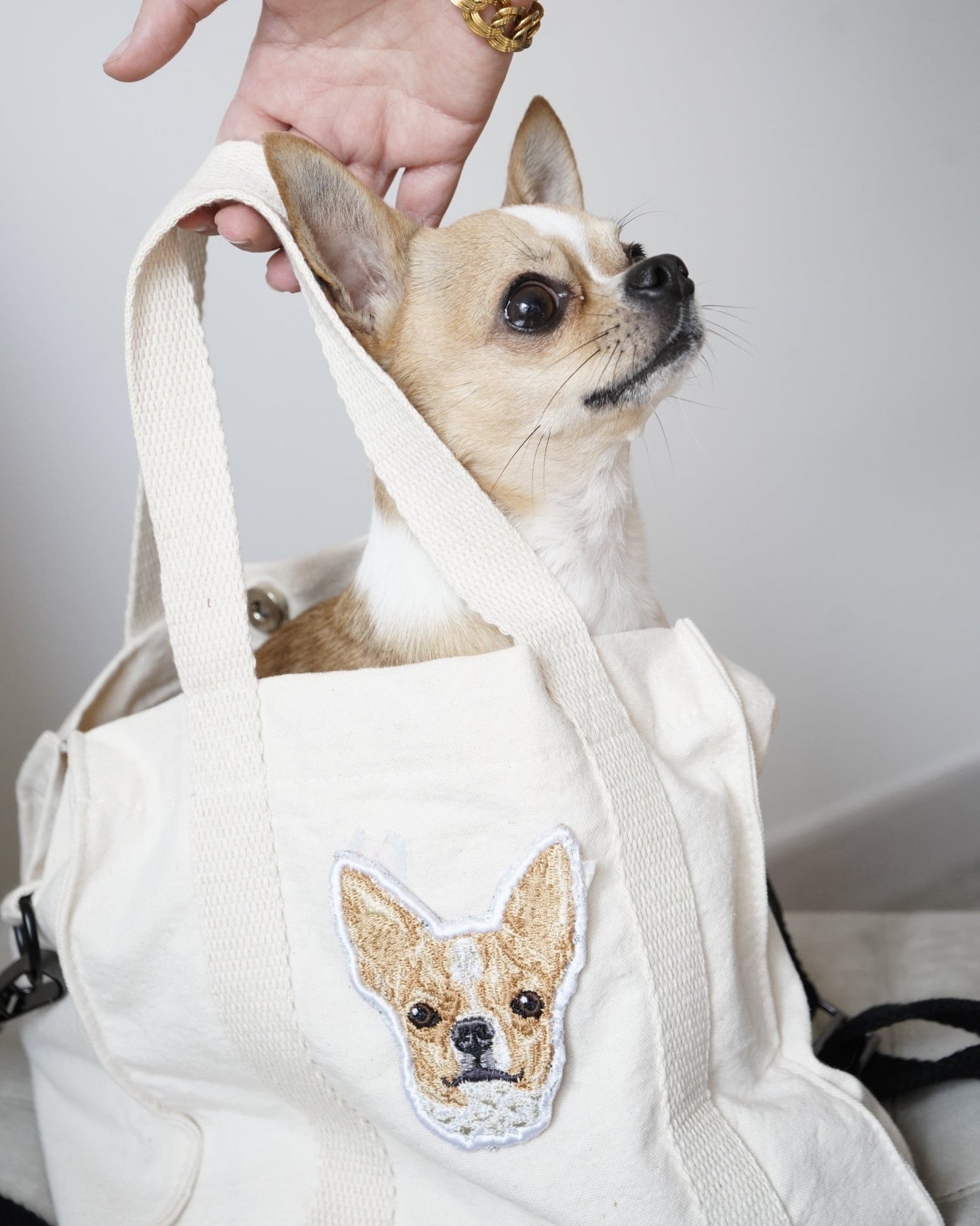 INTO personalizada con mascota en realismo