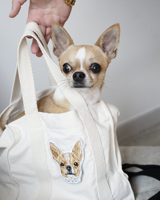 INTO personalizada con mascota en realismo